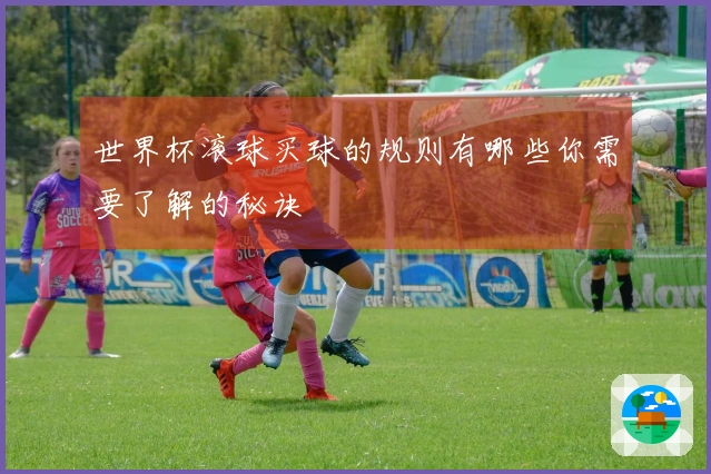 世界杯滚球买球的规则有哪些你需要了解的秘诀