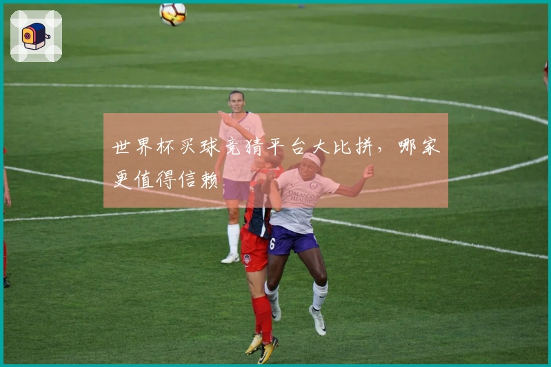 世界杯买球竞猜平台大比拼，哪家更值得信赖