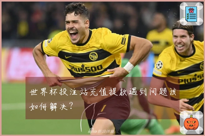 世界杯投注站充值提款遇到问题该如何解决？