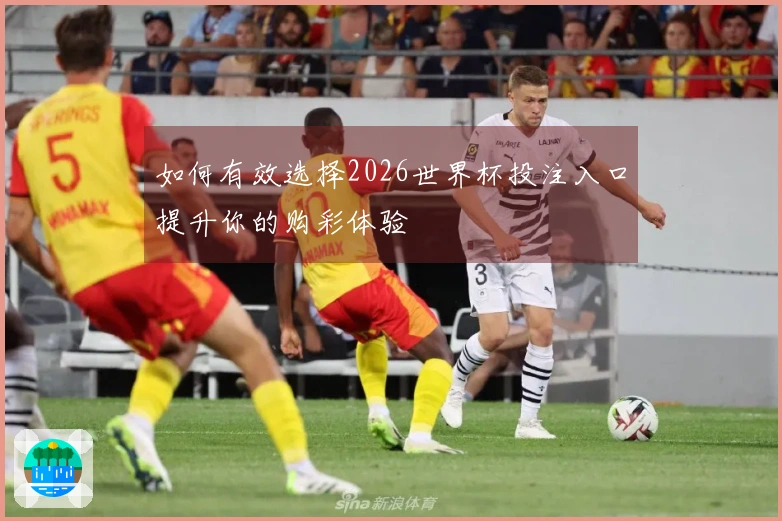 如何有效选择2026世界杯投注入口提升你的购彩体验