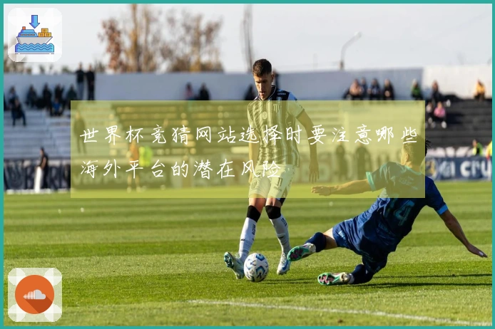 世界杯竞猜网站选择时要注意哪些海外平台的潜在风险