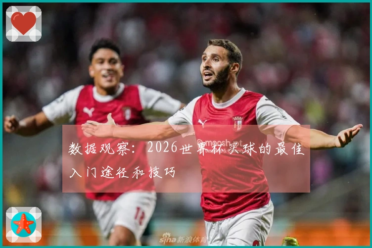 数据观察：2026世界杯买球的最佳入门途径和技巧
