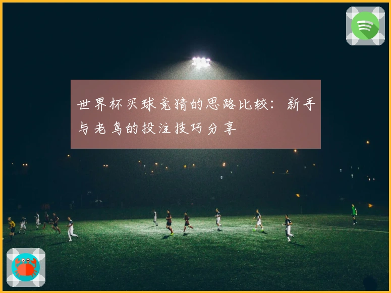 世界杯买球竞猜的思路比较：新手与老鸟的投注技巧分享