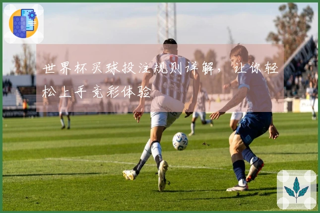 世界杯买球投注规则详解，让你轻松上手竞彩体验