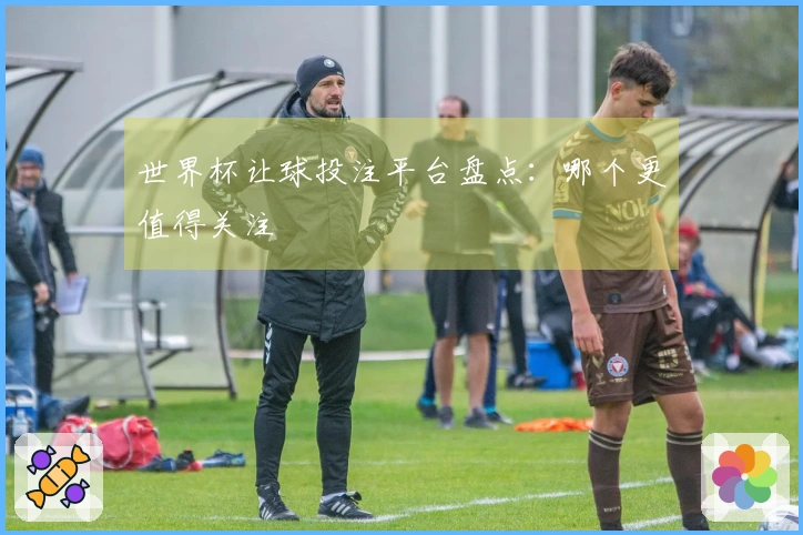 世界杯让球投注平台盘点：哪个更值得关注