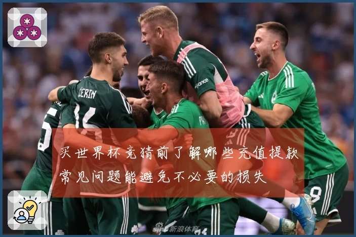 买世界杯竞猜前了解哪些充值提款常见问题能避免不必要的损失