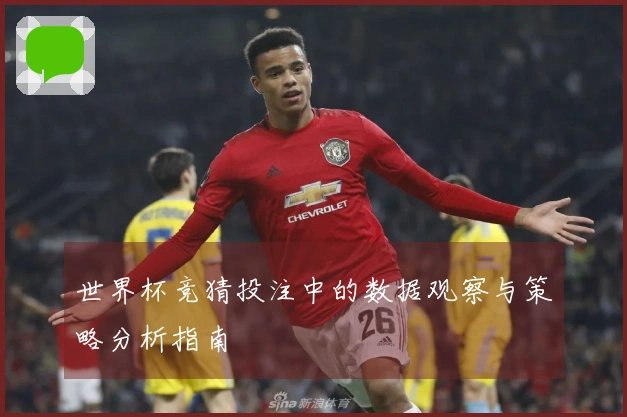 世界杯竞猜投注中的数据观察与策略分析指南