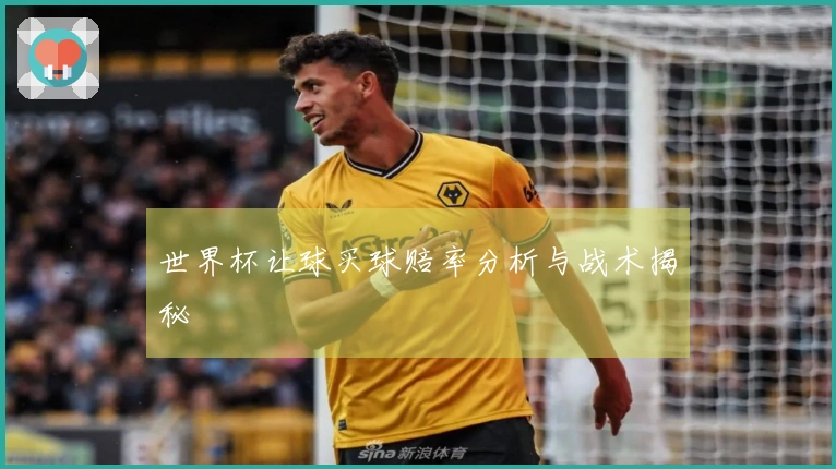 世界杯让球买球赔率分析与战术揭秘