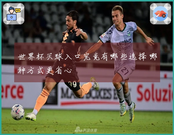 世界杯买球入口究竟有哪些选择 哪种方式更省心