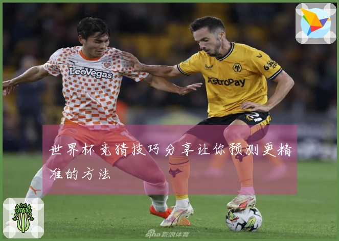 世界杯竞猜技巧分享让你预测更精准的方法