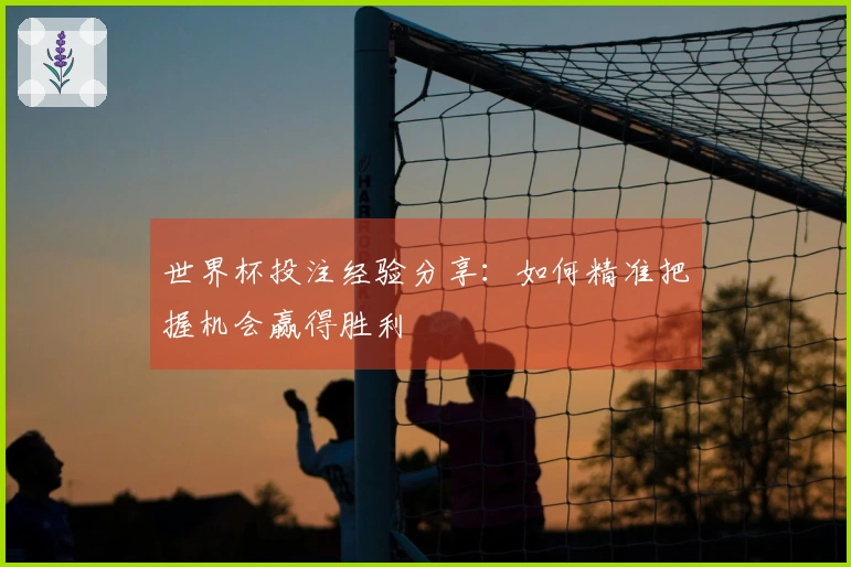 世界杯投注经验分享：如何精准把握机会赢得胜利