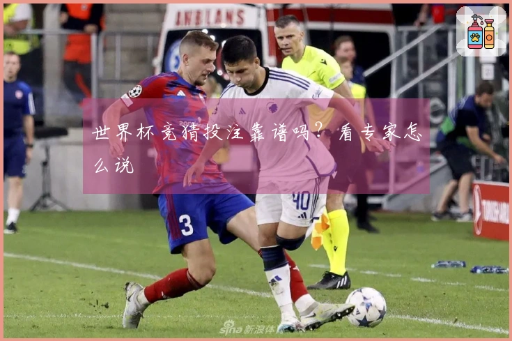 世界杯竞猜投注靠谱吗？看专家怎么说