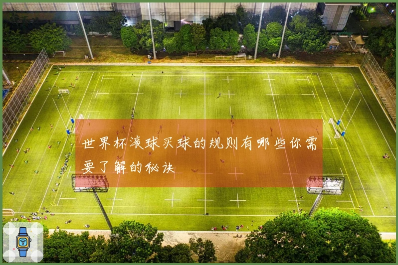 世界杯滚球买球的规则有哪些你需要了解的秘诀