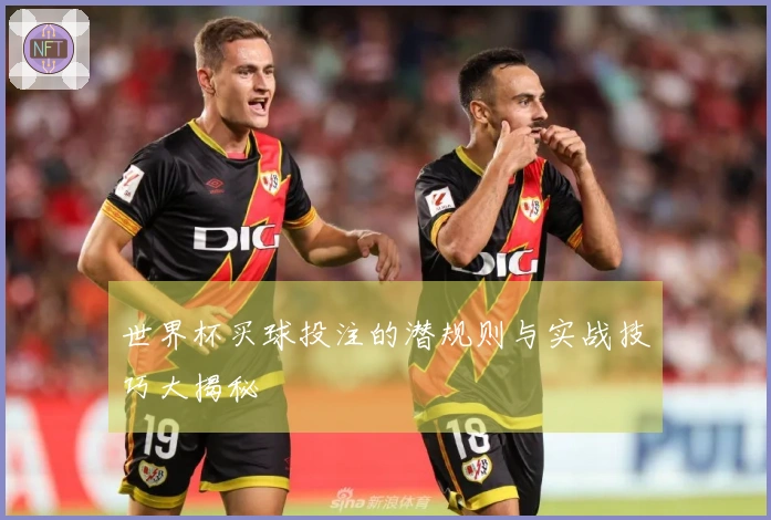世界杯买球投注的潜规则与实战技巧大揭秘
