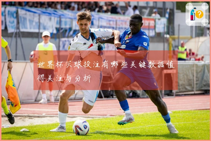 世界杯买球投注有哪些关键数据值得关注与分析