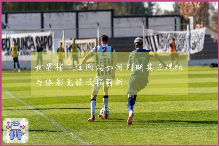 世界杯下注网站如何判断其正规性与体彩竞猜流程解析