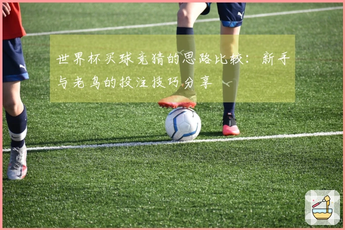 世界杯买球竞猜的思路比较：新手与老鸟的投注技巧分享
