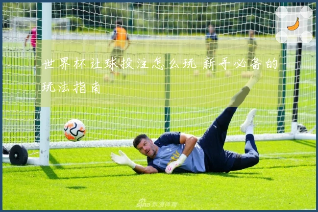世界杯让球投注怎么玩 新手必备的玩法指南
