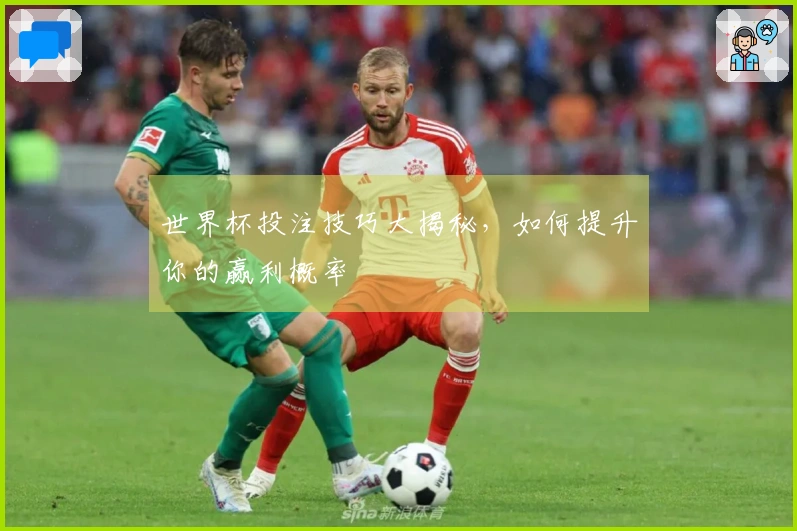 世界杯投注技巧大揭秘，如何提升你的赢利概率